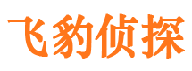 德安市侦探调查公司